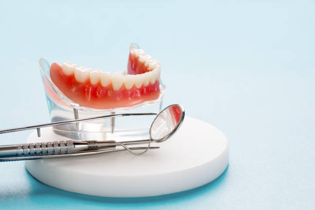 Best Dental Exams and Cleanings  in Panama City, FL